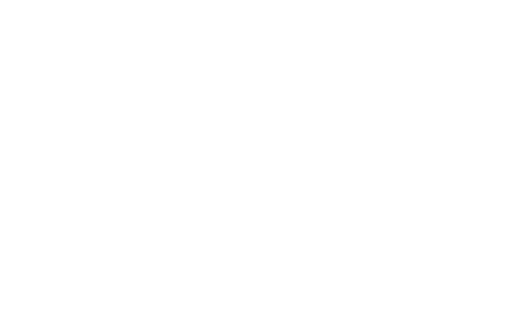 Portfolio Companies BGF